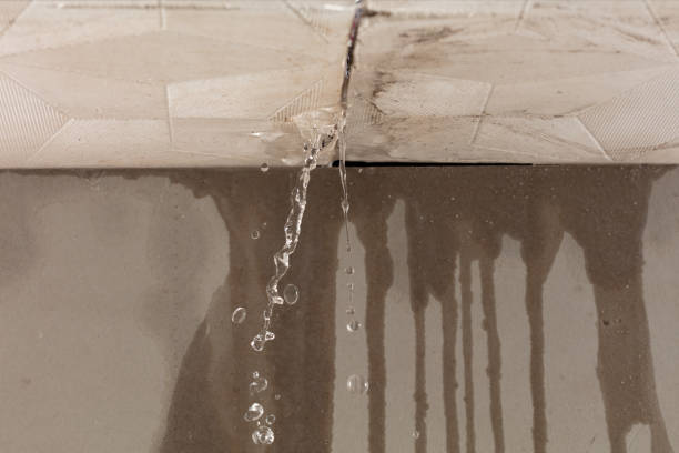 Professional Commercial Water Damage Restoration technician working in Alva, FL